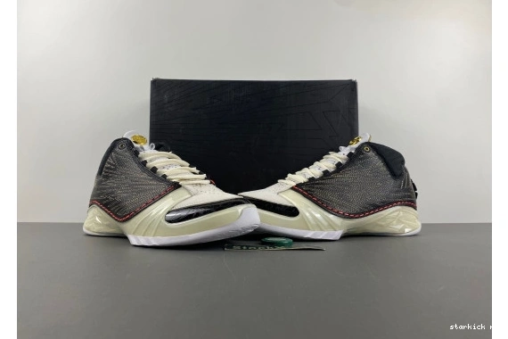 CZ6222-001  TITAN  CZ6222-001 23 Jordan 1222